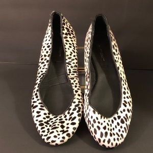Ann Taylor Flats
